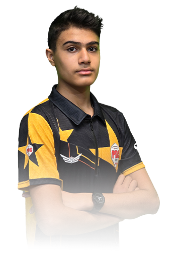 آرین امیر شهنوازی 1