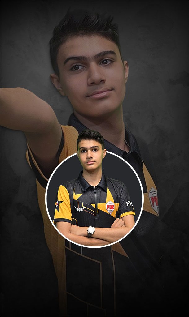 آرین امیر شهنوازی 2