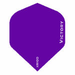 فلایت ویکتوری XS100 - تصویر 3